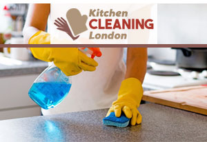 House Cleaner