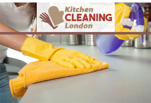 Domestic Cleaning